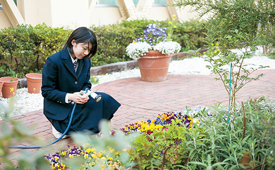 (东京)宝仙学园高等学校 偏差值64