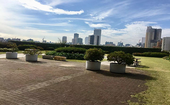 (东京)淑德巢鸭高等学校 偏差值66