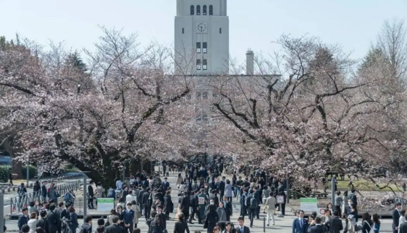 专业的日本留学机构