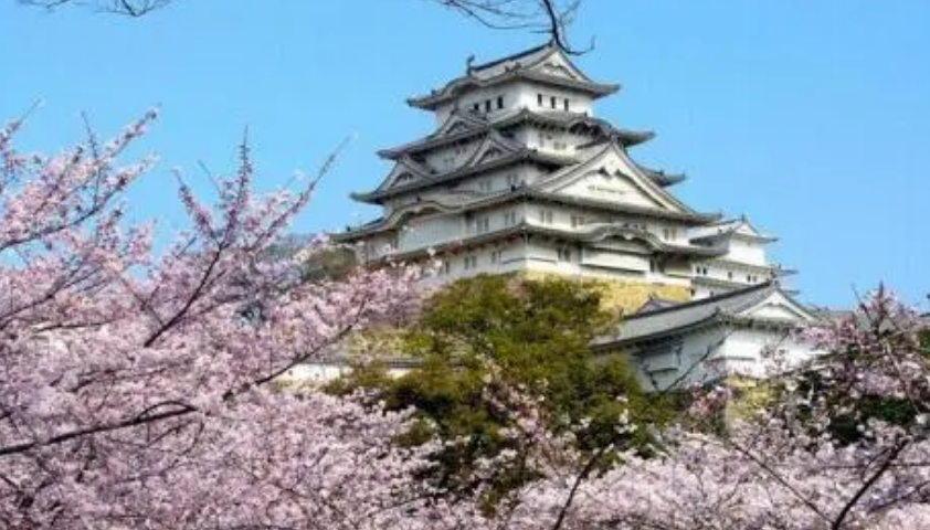 专业的日本留学机构