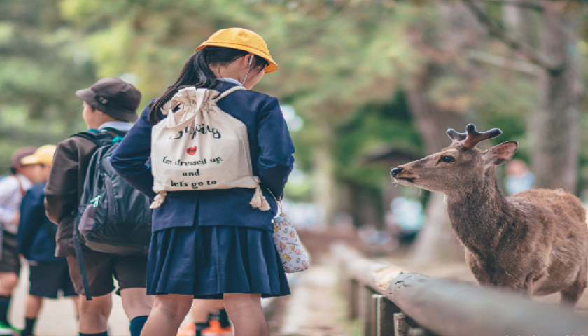 上海日本留学品牌