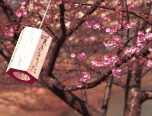 滋庆学园集团为您详细介绍去日本留学必须带的物品