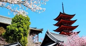 日本留学机构|滋庆简谈就业前景好的专业