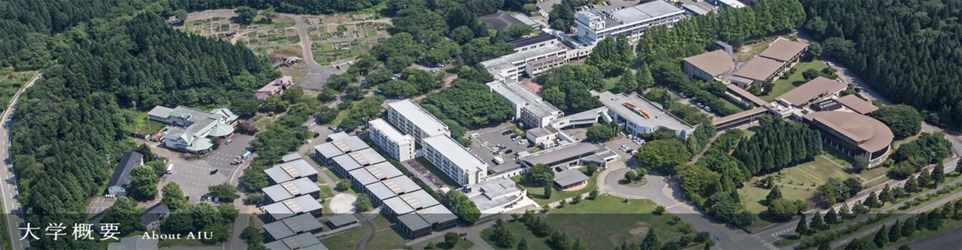 国际教养大学（公立）