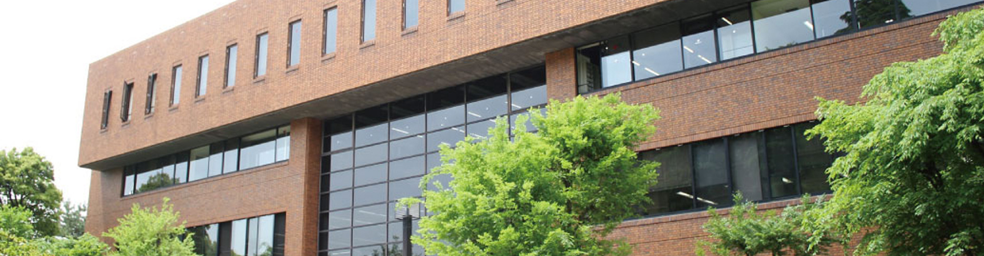 京都大学（国立）