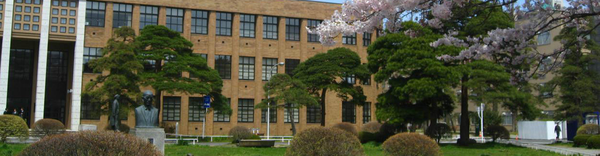 东北大学（公立）