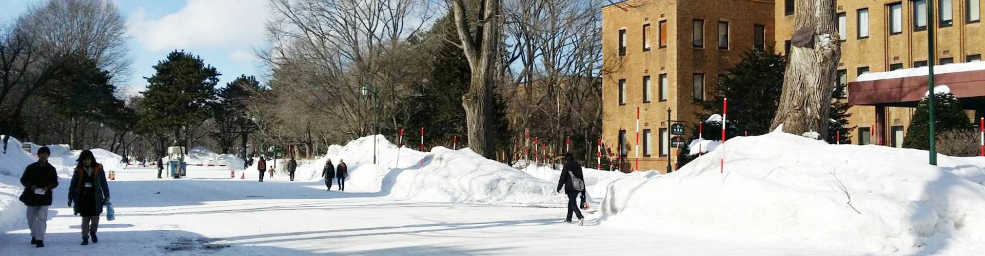 北海道大学（国立）