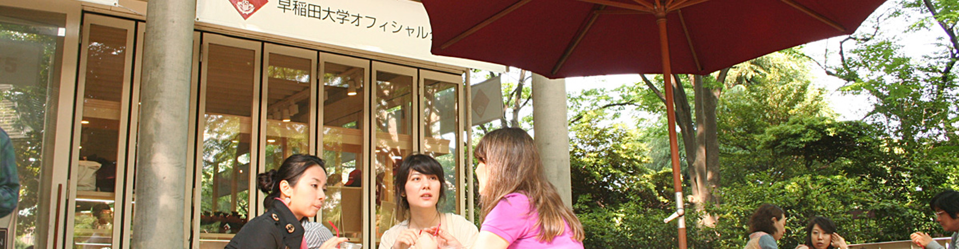 早稻田大学（私立）