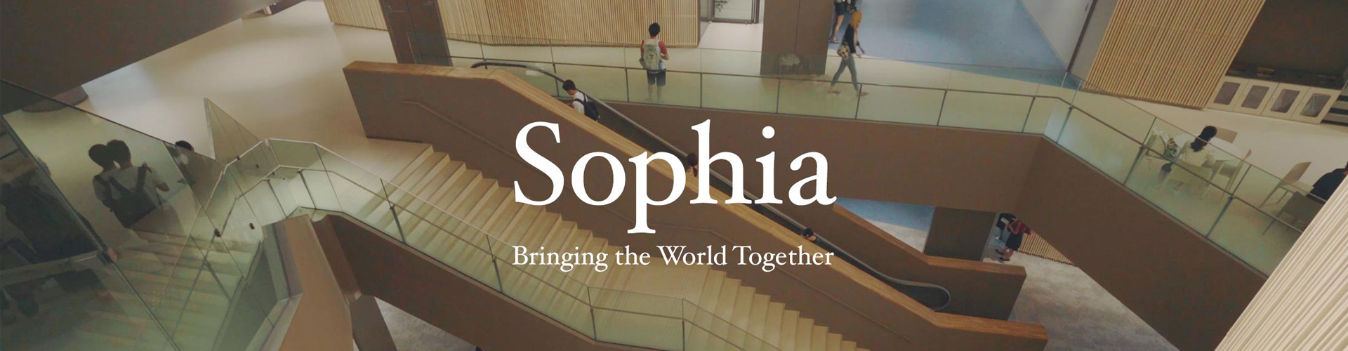 上智大学（私立）