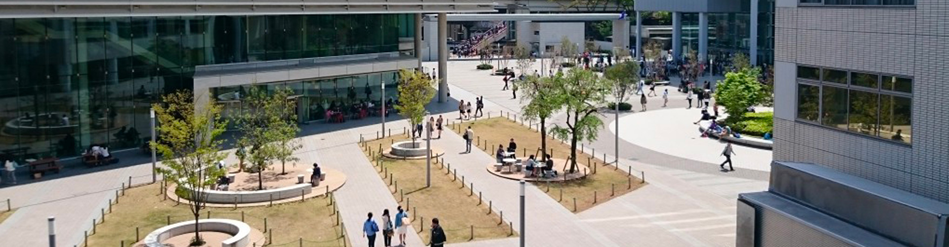 明治大学（私立）