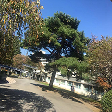 启明学园高等学校